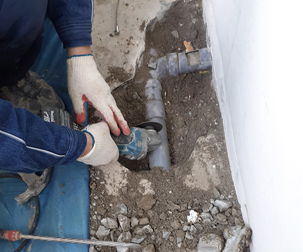 �������Ž��