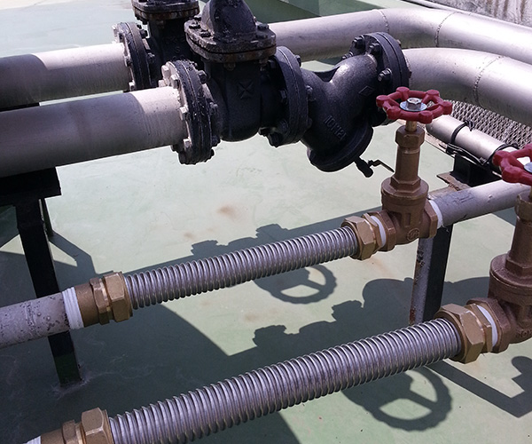 ��ȭ�� ����Ž��