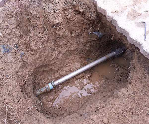 ����� ����Ž��