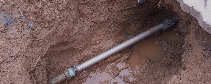 ����� ����Ž��